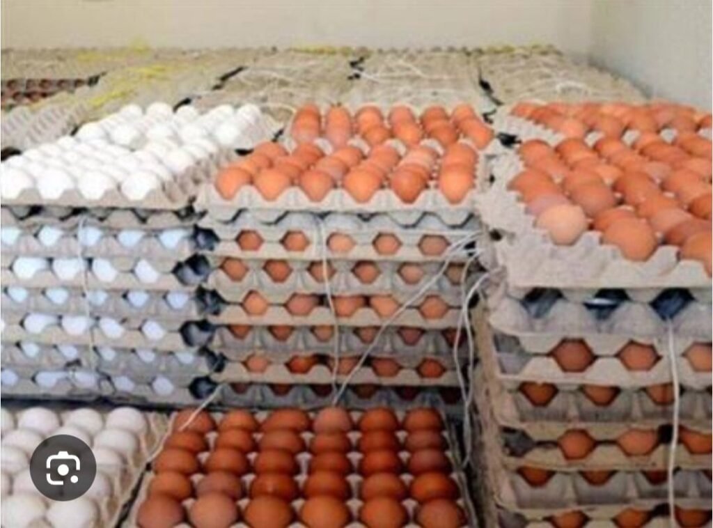 Screenshot 20250715 072702 Chrome 1024x758